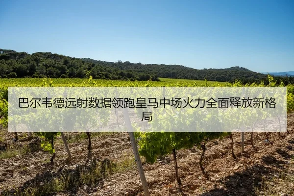 巴尔韦德远射数据领跑皇马中场火力全面释放新格局
